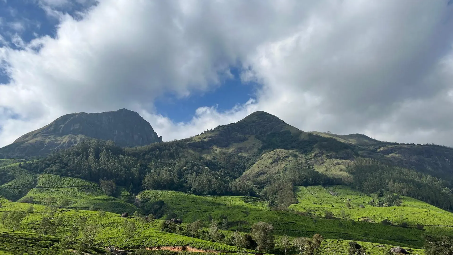 Homestay Rima Leisure Stays Munnar