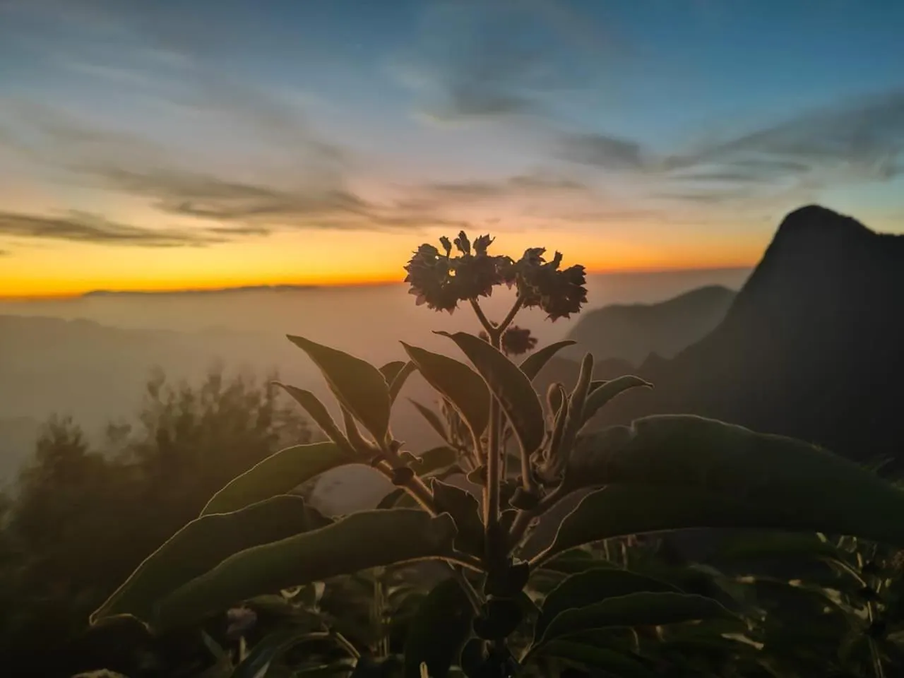 Rima Leisure Stays Munnar 0*,